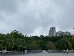 -深圳国际园林花卉博览园