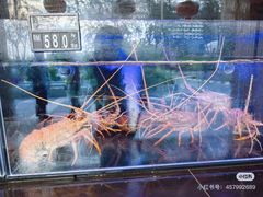 -真浪花园海鲜餐馆