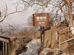 -紫金山山顶公园