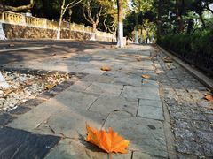 -八大关景区