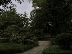-望江楼公园