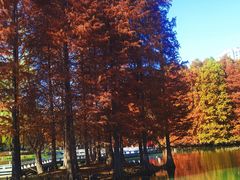 -白塘生态植物园