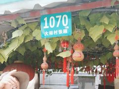 -马陆小张葡萄园农家乐