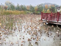 -洛阳古墓博物馆