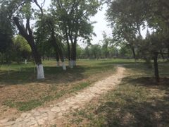 -石榴庄公园