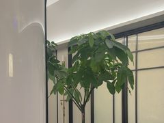-上座云间·青年赣菜(绿茵店)