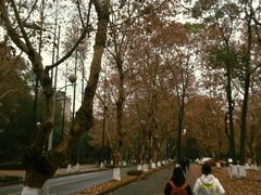 -四川大学(望江校区)