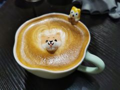 逗柴特调咖啡-逗柴咖啡屋·狗咖猫咖宠物桌游