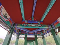 -莲花池公园
