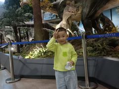 -湖南省地质博物馆