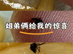 -姐弟俩土豆粉(西安小寨店)