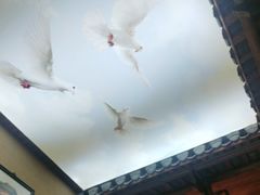 -徽三说·土徽菜·中国徽菜连锁品牌(一中店)