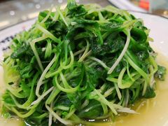 清炒灵芝菜-自游人·美食一楼·地道徽菜(三十年名店)