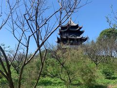 -上海海湾国家森林公园