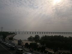 -宝安西湾红树林湿地公园