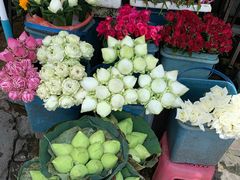 -瓦洛洛传统市场
