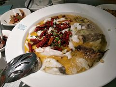 -姚姚酸菜鱼·金戈戈香港豉油鸡(喜荟城联名店)