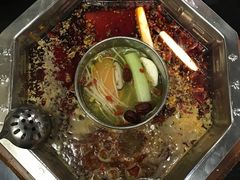 -蜀九香火锅(九眼桥店)