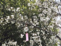 -INLOVE KTV(新天地店)