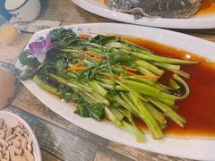 油淋菜心-渡海小渔村.老辈日照菜