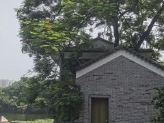 -荔湾湖公园