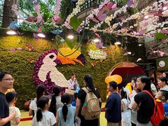 -正佳雨林生态植物园