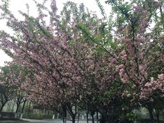 -成都工业学院(郫都校区)