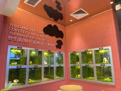 -芸山季·云南野生菌火锅(宝能环球汇店)