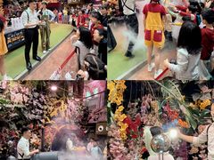 -正佳雨林生态植物园