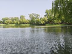 -溱湖国家湿地公园