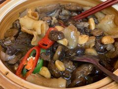 -黄埔华苑酒家(黄埔店)