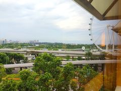 -新加坡丽思卡尔顿美年酒店