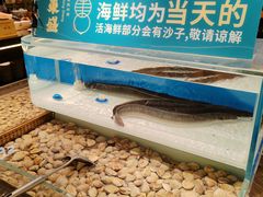 -東盛炭烤自助料理(玄武招商花园城店)