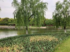 -上海鲜花港