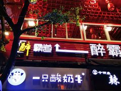 -一只酸奶牛(八一路店)