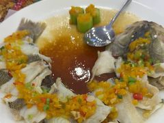 黄椒酱砂锅焗鲈鱼-粤盛海鲜平价店(洛溪食街店)