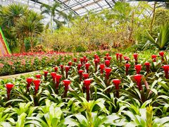 -南山植物园