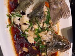 -院里寻菜·精致庭院菜(观沙岭店)