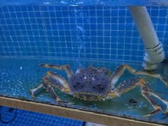-202特色排档(五缘湾店)