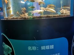 -沙沙哗啦海洋馆(华宇百花谷店)