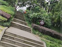 -重庆彩云湖湿地公园