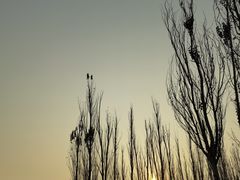 -美吉姆早教(高新中心)