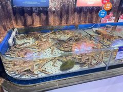 -开海·红岛海鲜虾水饺(石老人店)
