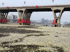 -汉江公园