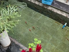 -燕北云山·农家菜·灶台鱼(密云溪翁庄店)