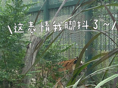 -广州动物园