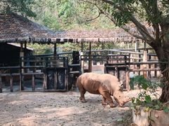 -深圳野生动物园
