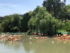 -宁波野生动物园