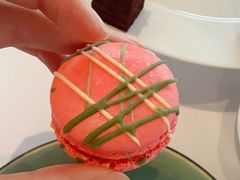 -蝶舍·MAISON PAPILLON