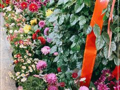-宝鸡东道花鸟鱼虫市场(吉利花园商场店)